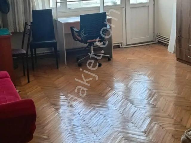 İstanbul Merkez, İstanbul içerisinde kiralık mülk