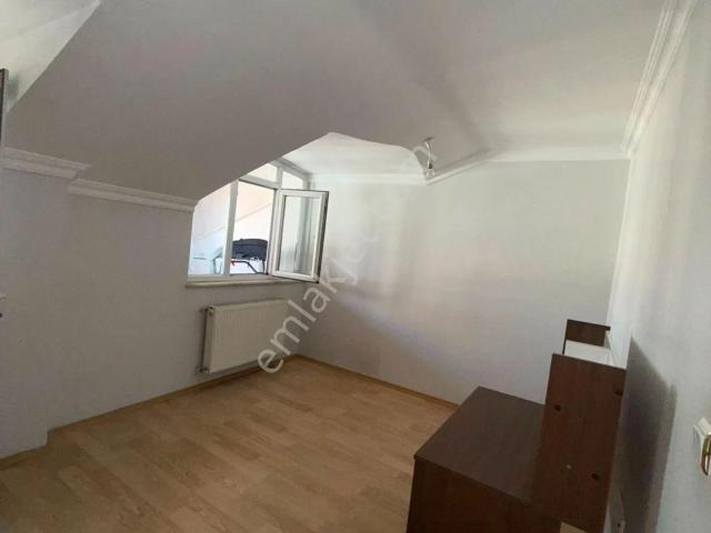 Avcilar, İstanbul içerisinde kiralık mülk