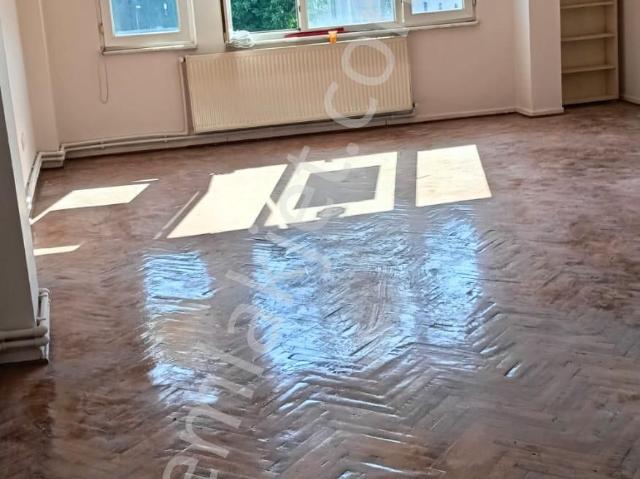 İstanbul Merkez, İstanbul içerisinde kiralık mülk