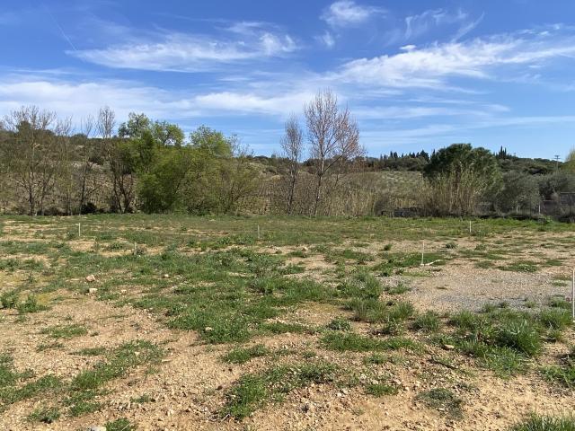 Terrain vente à Béziers, Cessenon-sur-orb