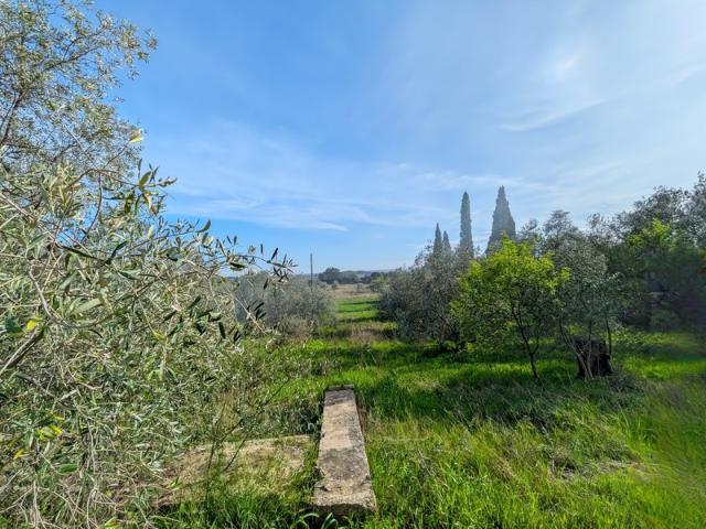 Terrain vente à Béziers, Cesseras