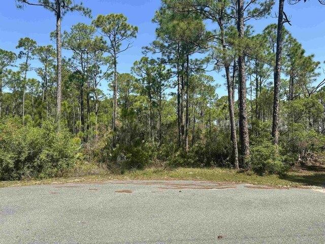 Land for sale in Panacea