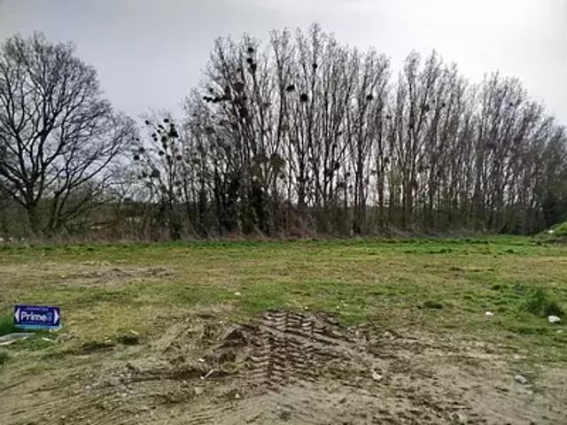 Terrain vente à Rennes, Bretagne