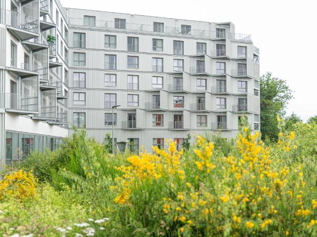 Appartement vente à Rennes, Bretagne