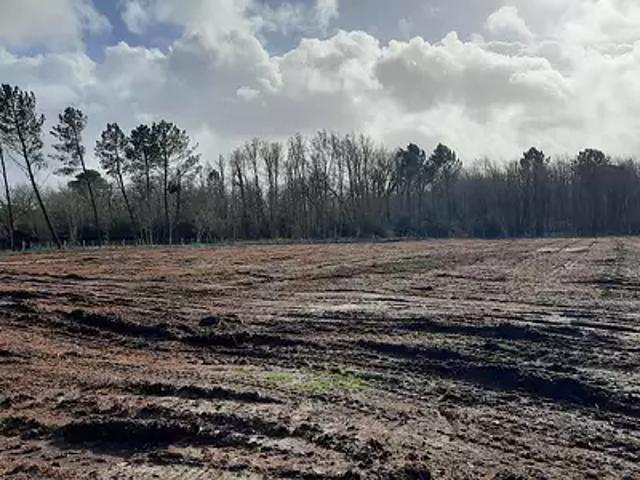 Terrain vente à Bordeaux, Cestas