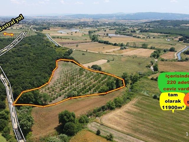 Danişment, Biga içerisinde satılık Arsa
