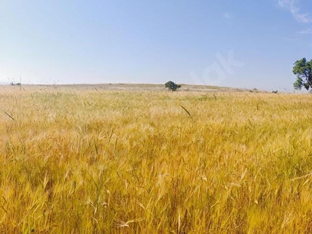 Cevizli Mahallesi, Şahinbey içerisinde satılık Arsa
