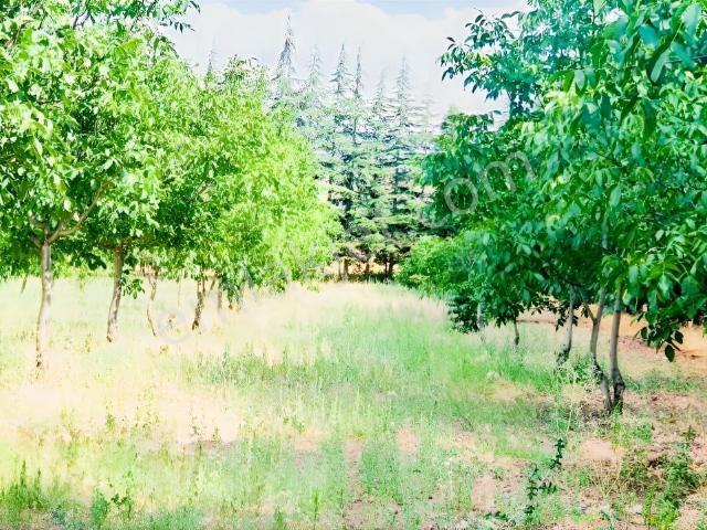 Yazıbeyli Mahallesi, Kahramankazan içerisinde satılık Villa
