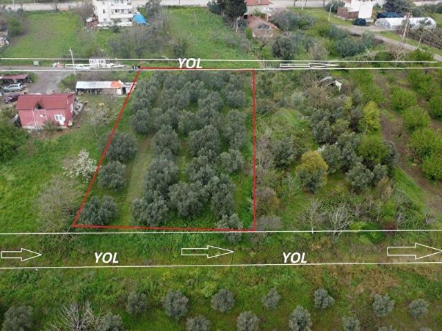 Yalova içerisinde satılık Arsa