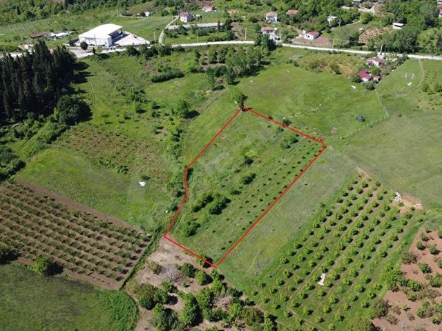 Karamürsel, Kocaeli içerisinde satılık mülk