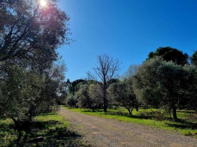 Terrain vente à Ceyras, Hérault