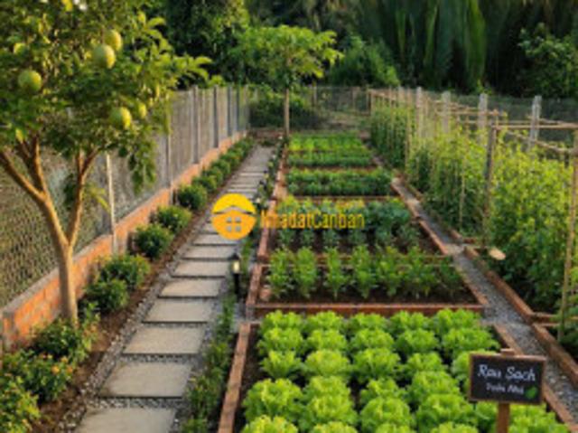 Nhà mặt phố bán