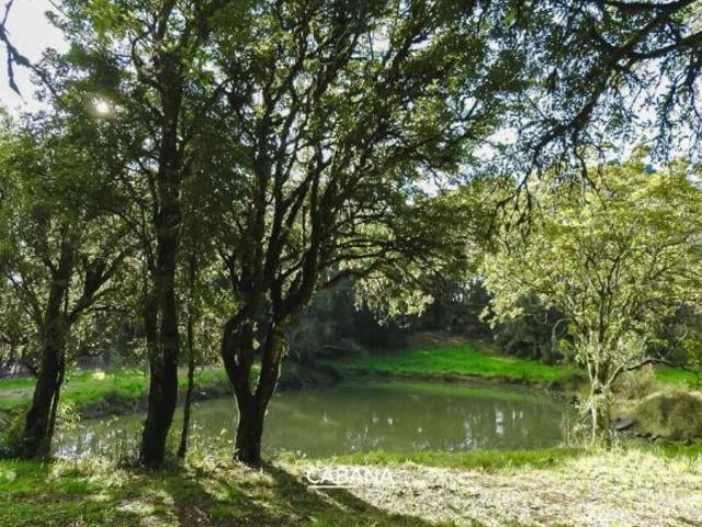 Sitio venda em Caxias do Sul, Parada Cristal