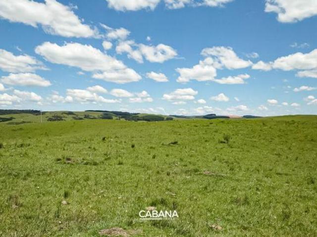 Sítio e chácara venda em Pedra Branca, São Francisco de Paula