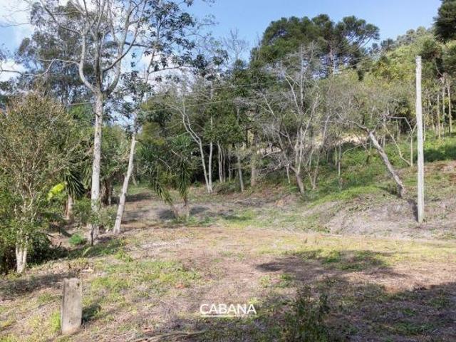 Sítio e chácara venda em Região Geográfica Imediata de Caxias do Sul, Alto Feliz