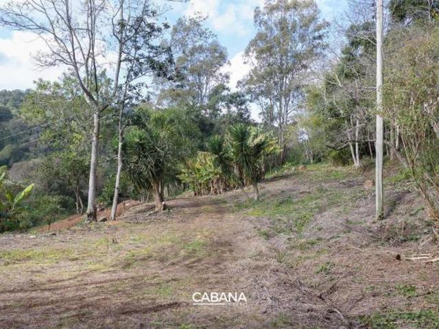Sítio e chácara venda em Região Geográfica Imediata de Caxias do Sul, Alto Feliz