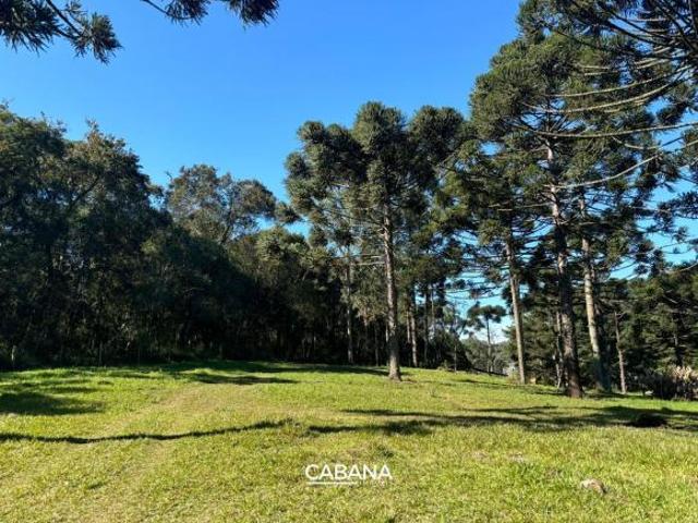 Sitio venda em Caxias do Sul, Fazenda Souza