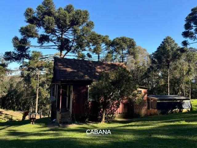 Sítio e chácara venda em Região Geográfica Imediata de Caxias do Sul, Caxias do Sul