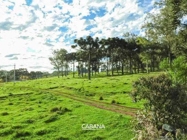 Sitio venda em Caxias do Sul, Santa Lúcia do Piaí