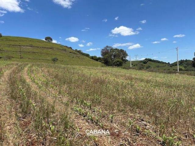Sítio e chácara venda em Região Geográfica Imediata de Caxias do Sul, Ipê