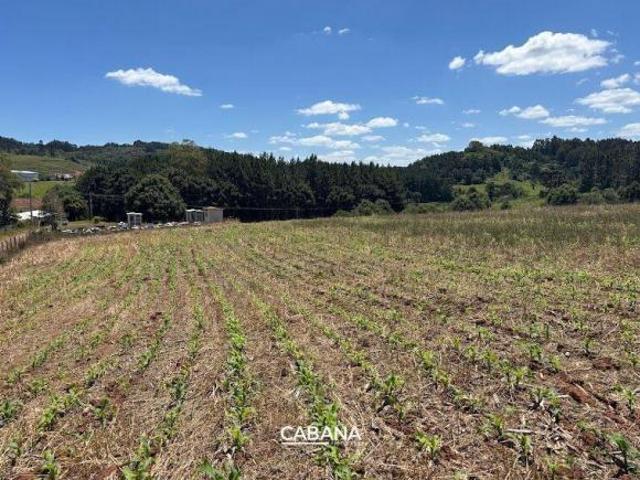 Sítio e chácara venda em Região Geográfica Imediata de Caxias do Sul, Ipê