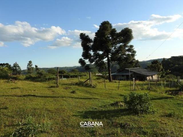 Sítio e chácara venda em Região Geográfica Imediata de Vacaria, Monte Alegre dos Campos
