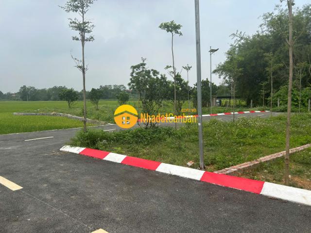 Mặt bằng bán