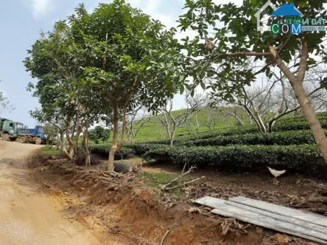 Biệt Thự bán