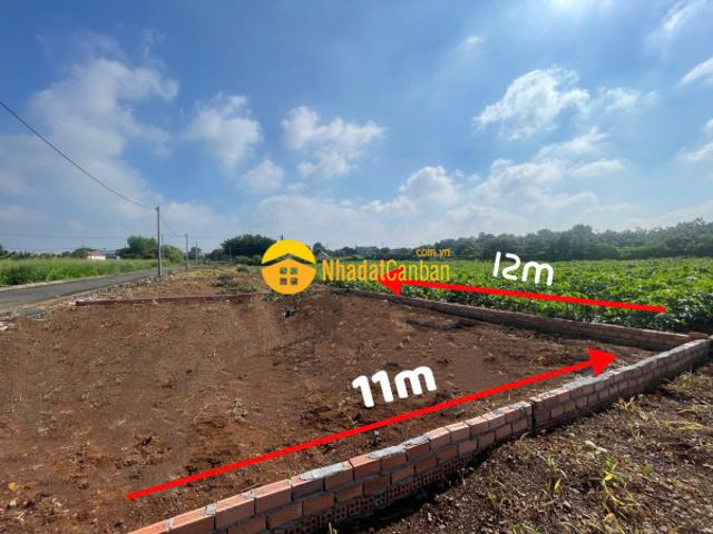 Mặt bằng bán