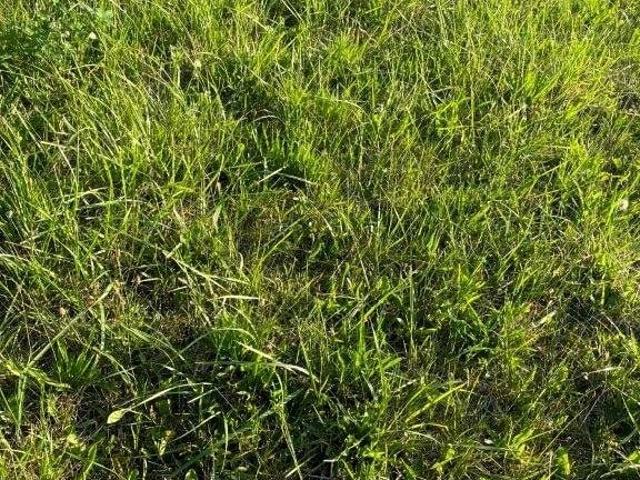 Grunt na sprzedaż w Władysławowo, Pomorskie