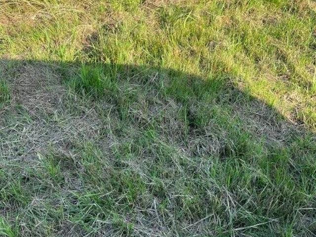 Grunt na sprzedaż w Władysławowo, Pomorskie