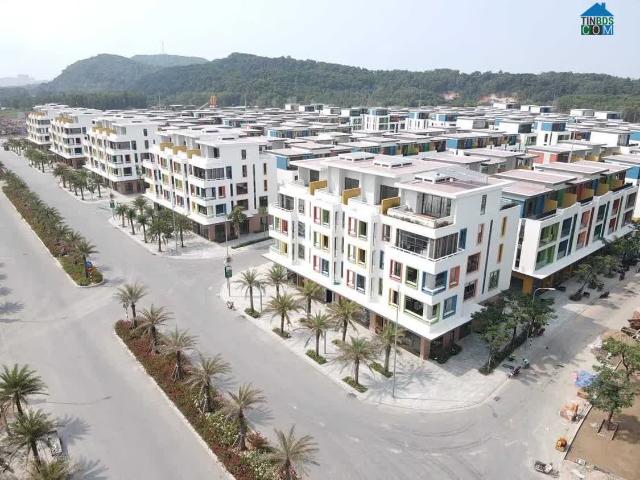 Biệt Thự bán