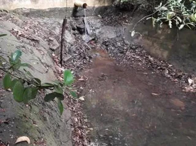 Fazenda venda em Região Geográfica Imediata de Goiânia, Senador Canedo