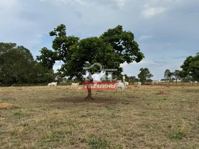 Fazenda venda em Região Geográfica Imediata de Goiânia, Bonfinópolis