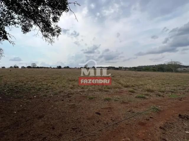 Fazenda venda em Região Geográfica Imediata de Goiânia, Caturaí