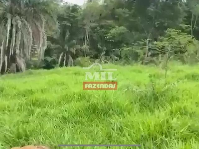 Fazenda venda em Região Geográfica Imediata de Inhumas - Itaberaí - Anicuns, Heitoraí