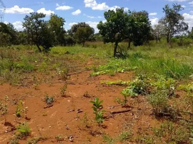 Fazenda venda em Região Geográfica Imediata do Distrito Federal, Região Integrada de Desenvolvimento do Distrito Federal e Entorno