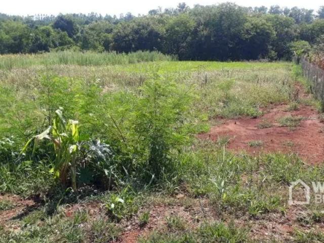 Fazenda venda em Região Geográfica Imediata de Ivaiporã, São João do Ivaí