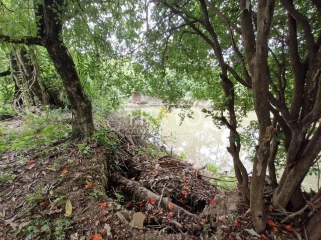 Fazenda venda em Região Imediata de Campinas, Região Metropolitana de Campinas