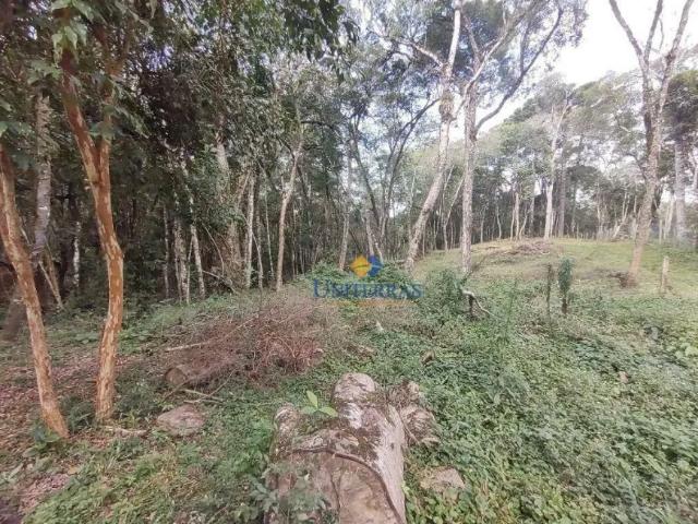 Fazenda venda em Região Geográfica Imediata de Curitiba, Região Metropolitana de Curitiba