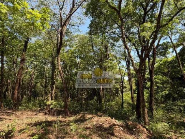 Fazenda venda em Região Geográfica Imediata de Uberaba, Uberaba