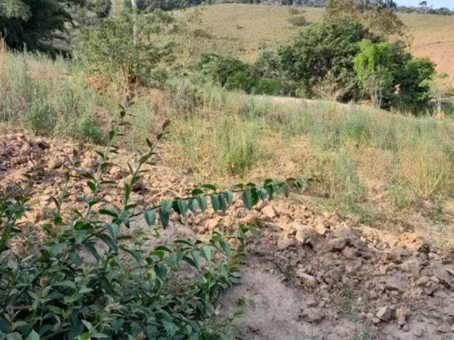 Fazenda venda em Região Imediata de Taubaté-Pindamonhangaba, Região Metropolitana do Vale do Paraíba e Litoral Norte