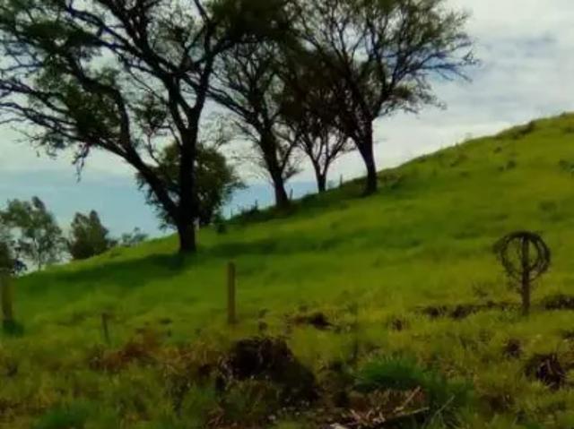 Fazenda venda em Região Geográfica Imediata de Maringá, Marialva