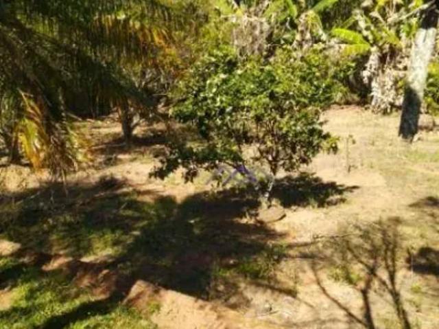 Fazenda venda em Região Imediata de Jundiaí, Jarinu