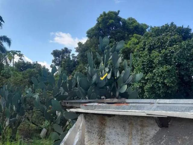 Fazenda venda em Região Imediata de Sorocaba, Região Metropolitana de Sorocaba