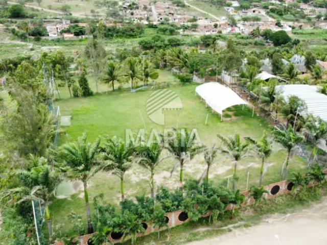 Fazenda venda em Região Geográfica Imediata de Caruaru, Gravata