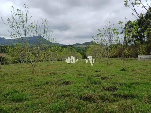 Fazenda venda em Região Geográfica Imediata de Londrina, Tamarana