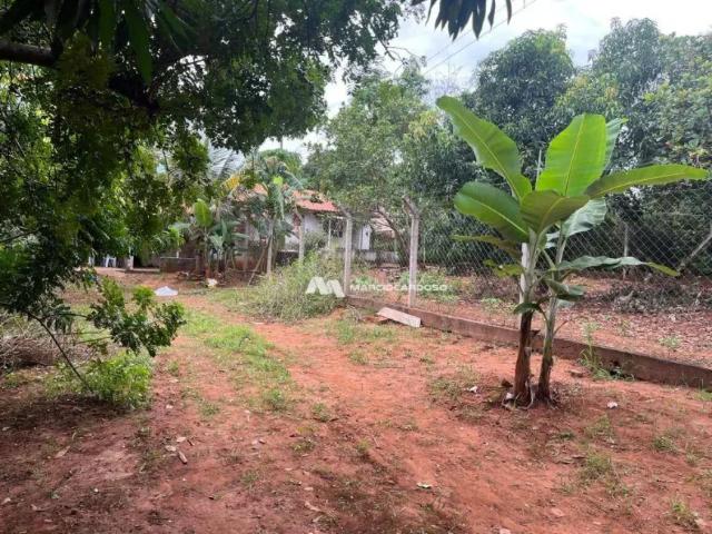 Fazenda venda em Região Imediata de São José do Rio Preto, Região Metropolitana de São José do Rio Preto