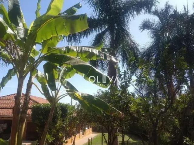 Fazenda venda em Região Imediata de São José do Rio Preto, Região Metropolitana de São José do Rio Preto