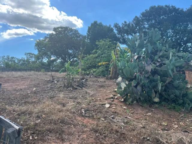 Fazenda venda em Região Imediata de São José do Rio Preto, Região Metropolitana de São José do Rio Preto